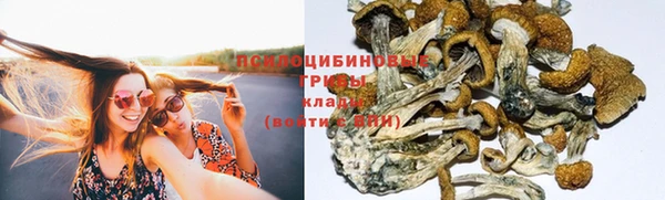 соль ск Белокуриха
