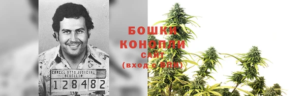 прущие грибы Снежногорск