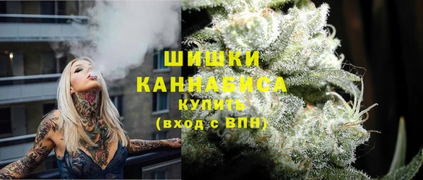 твердый Богородицк